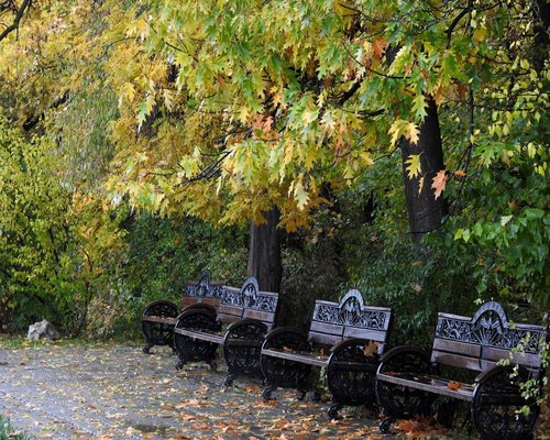calm walk through a Romanian city park